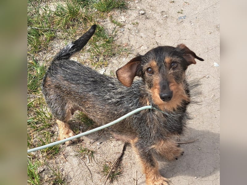 Kristen sucht eine Pflege- oder Endstelle