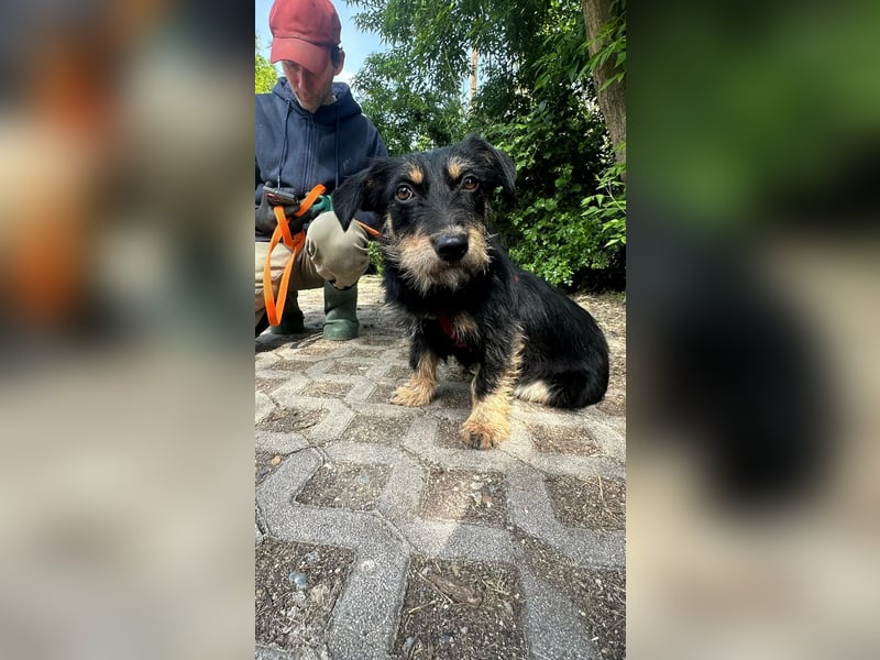 Dolina, geboren 01.10.2025, 32cm sucht ihr Zuhause