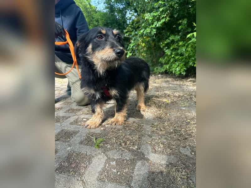 Dolina, geboren 01.10.2025, 32cm sucht ihr Zuhause