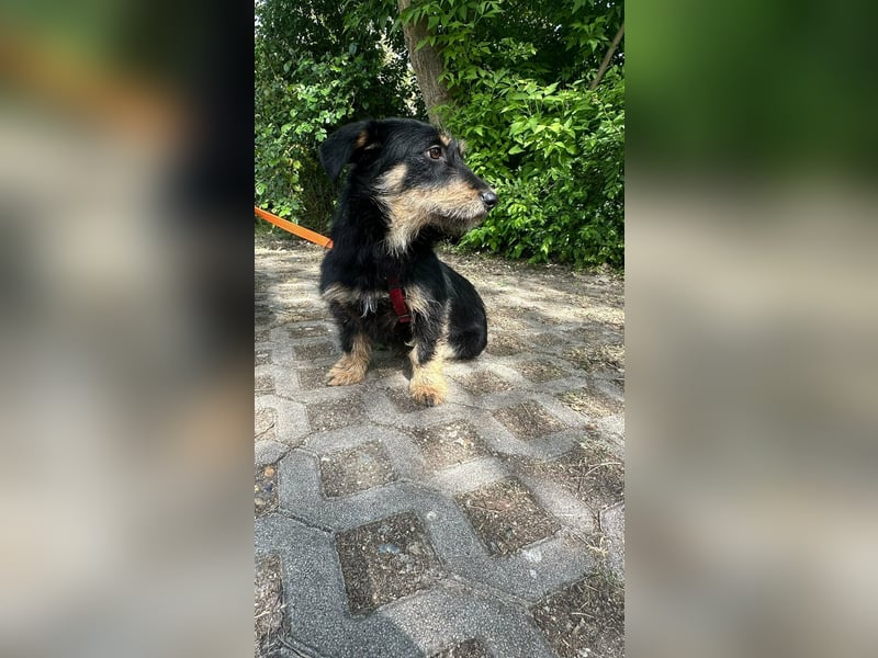 Dolina, geboren 01.10.2025, 32cm sucht ihr Zuhause