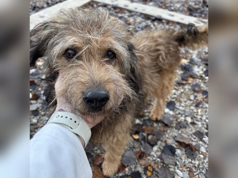 Pepco möchte nur geliebt werden