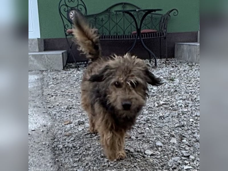 Pepco möchte nur geliebt werden