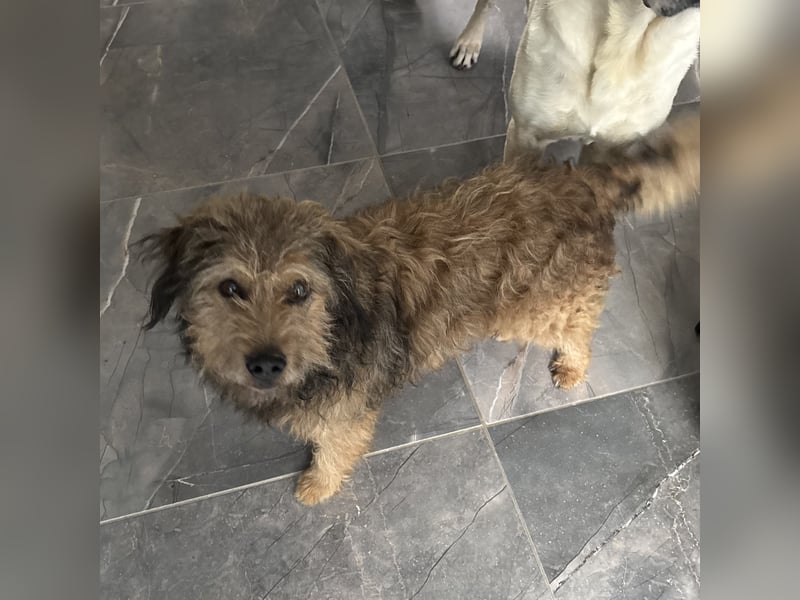 Pepco möchte nur geliebt werden