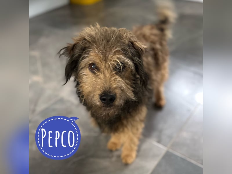 Pepco möchte nur geliebt werden