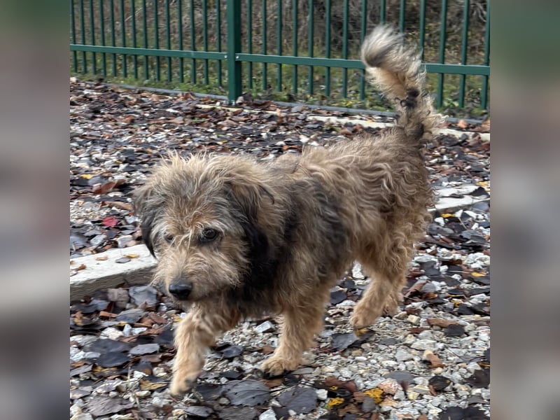 Pepco möchte nur geliebt werden