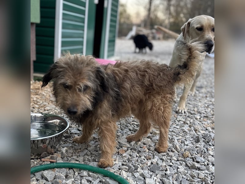 Pepco möchte nur geliebt werden