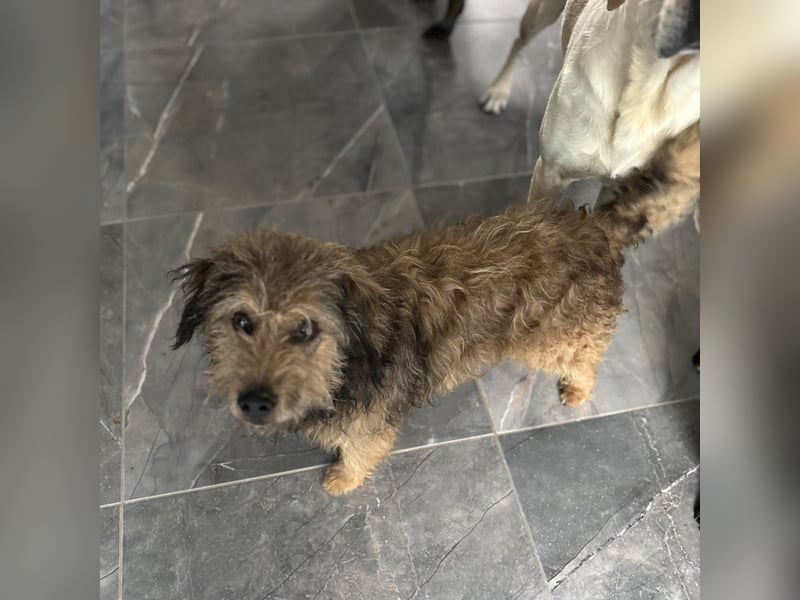 Pepco möchte nur geliebt werden