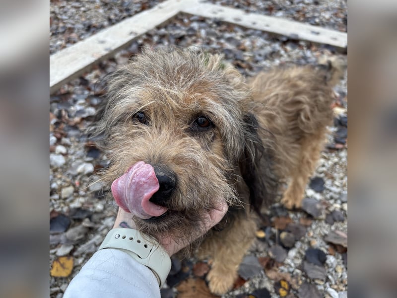 Pepco möchte nur geliebt werden