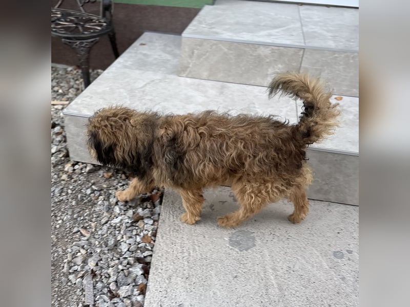 Pepco möchte nur geliebt werden