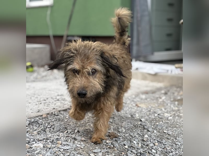 Pepco möchte nur geliebt werden