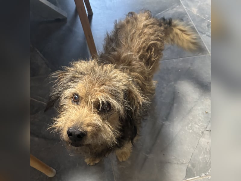 Pepco möchte nur geliebt werden