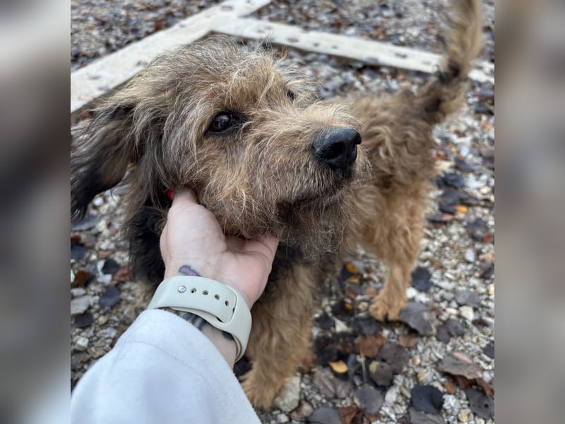 Pepco möchte nur geliebt werden