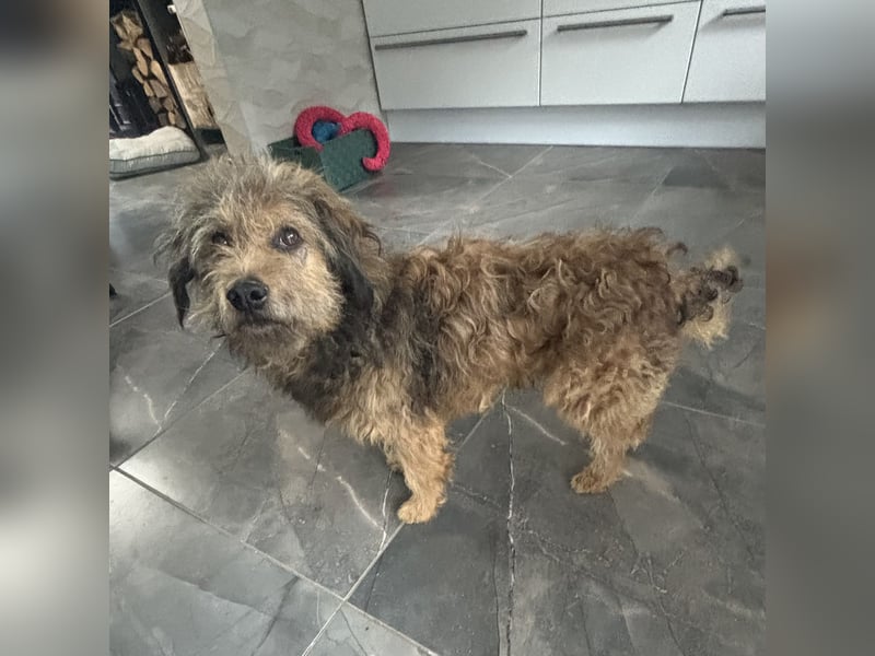 Pepco möchte nur geliebt werden