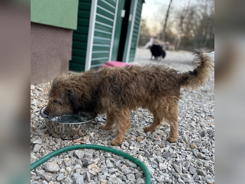 Pepco möchte nur geliebt werden