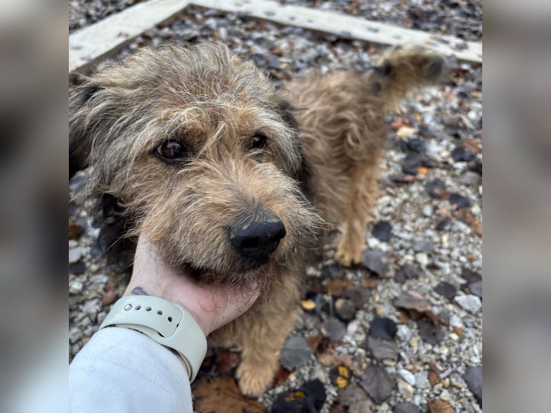 Pepco möchte nur geliebt werden