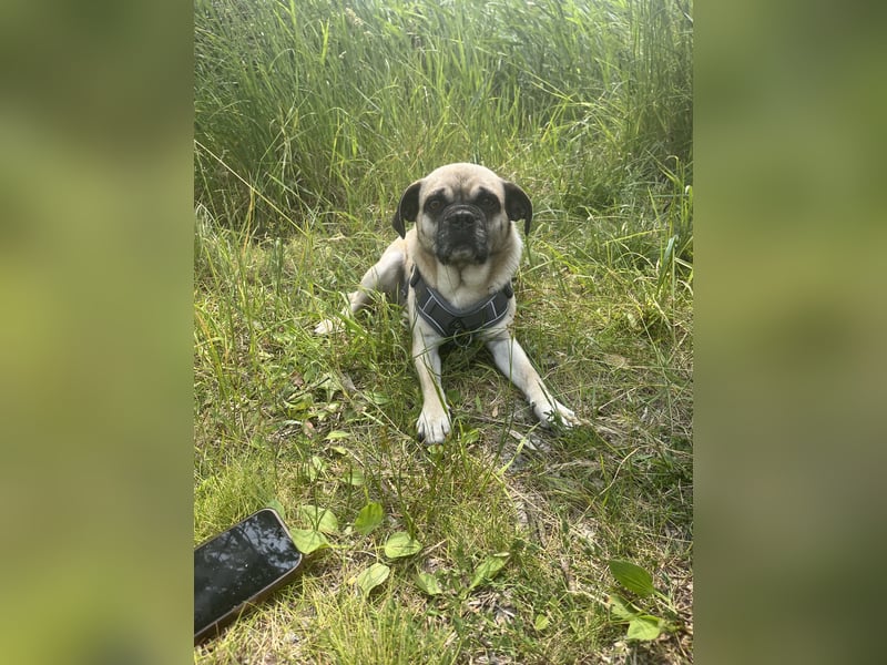 Jerry sucht neues Zuhause