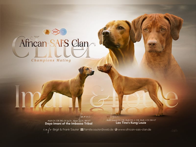 African SAI‘S Clan C Wurf