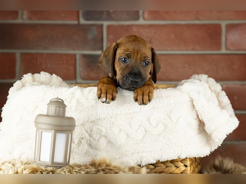 Dhoruba ya Roho A Wurf