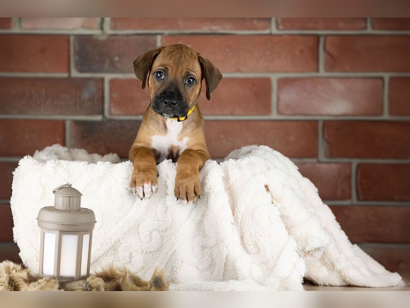 Dhoruba ya Roho A Wurf