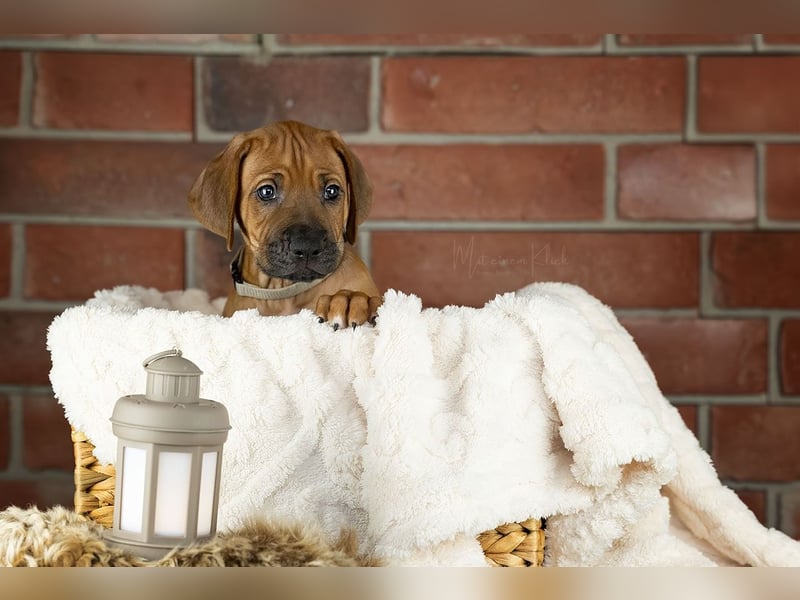 Dhoruba ya Roho A Wurf