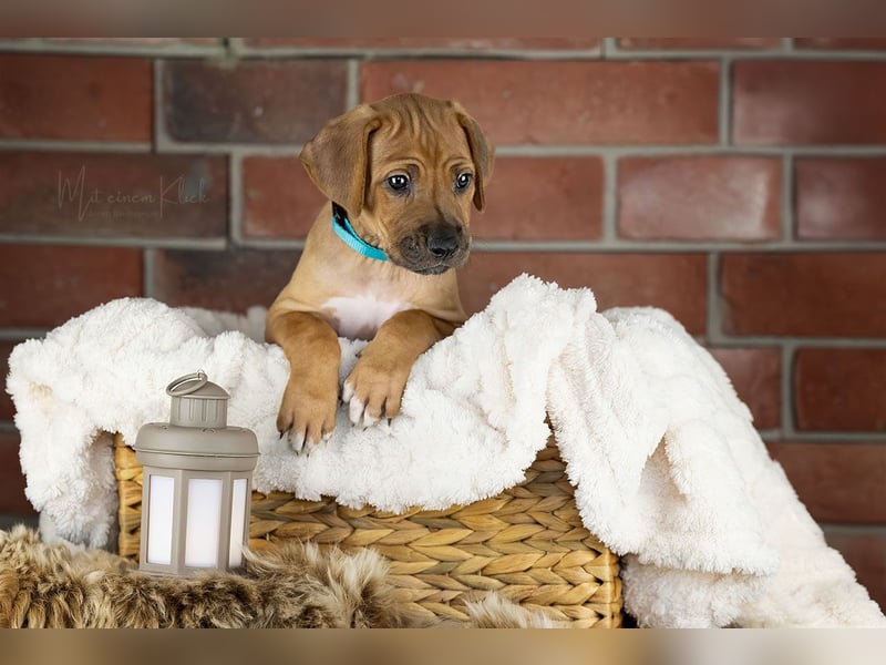 Dhoruba ya Roho A Wurf