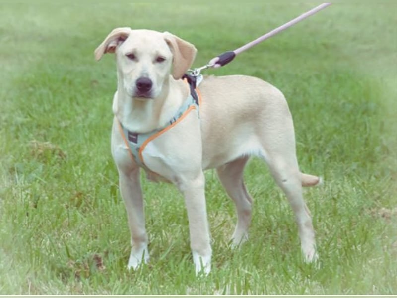 Chris - freundlich und neugierig