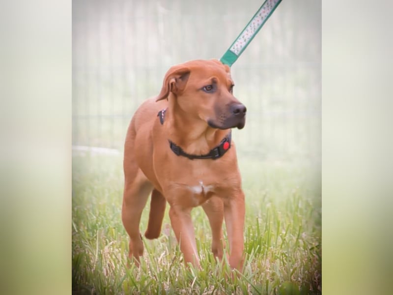 Matheo - will die Welt entdecken