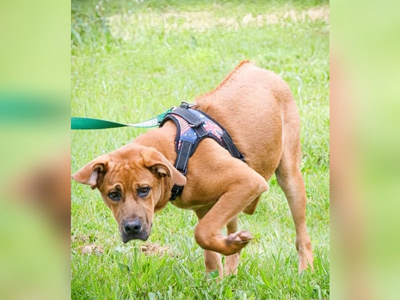 Matheo - will die Welt entdecken