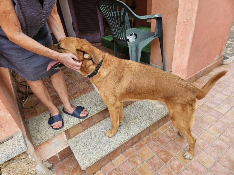 Billy - ein Leben auf der Terrasse