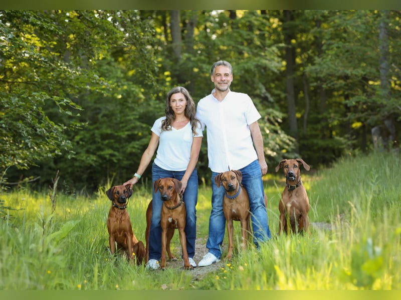 Wurfplanung 2027/2028 – Kennel Malkia wa Kiburi (Overath) - DZRR/VDH