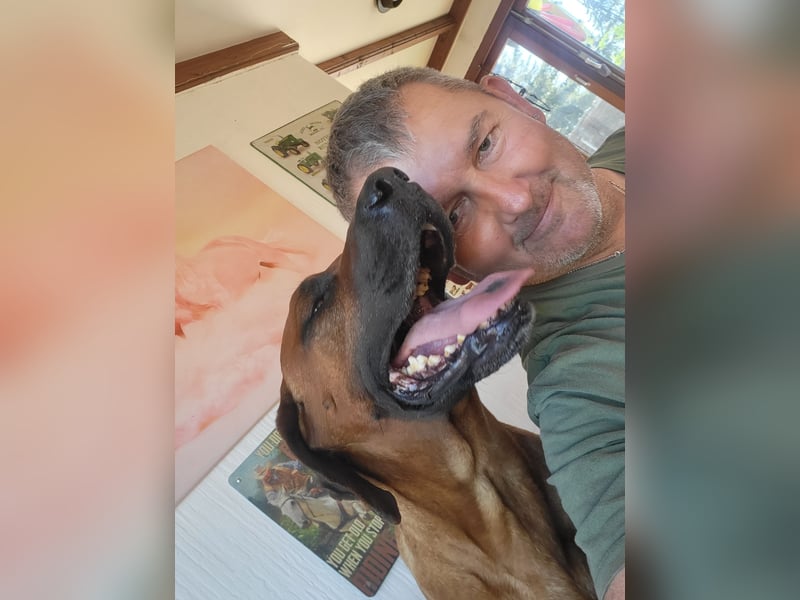Rhodesian Ridgeback