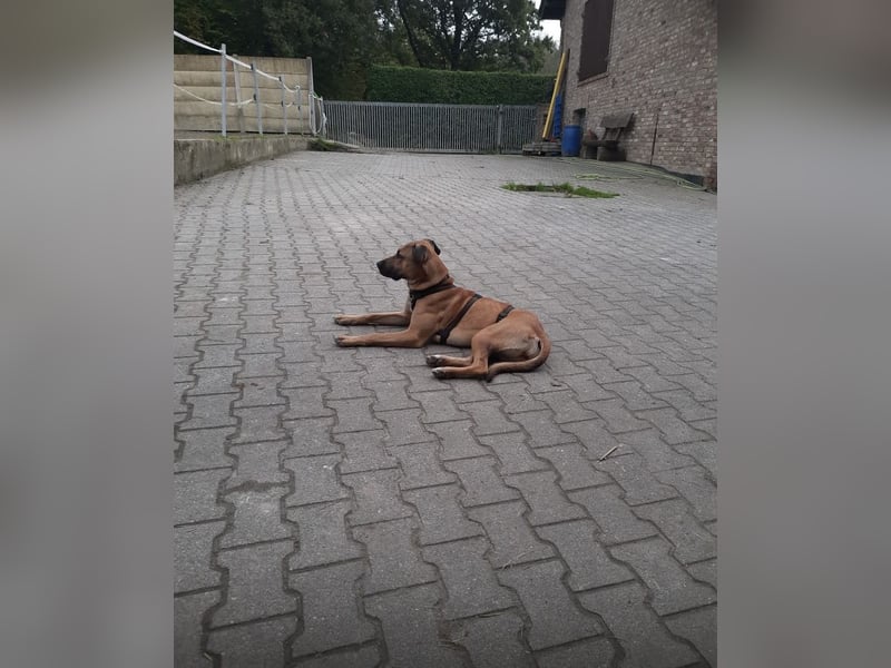 Juni sucht ihren sicheren Hafen