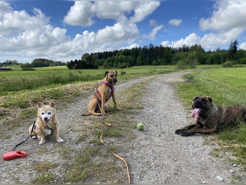 Juni sucht ihren sicheren Hafen