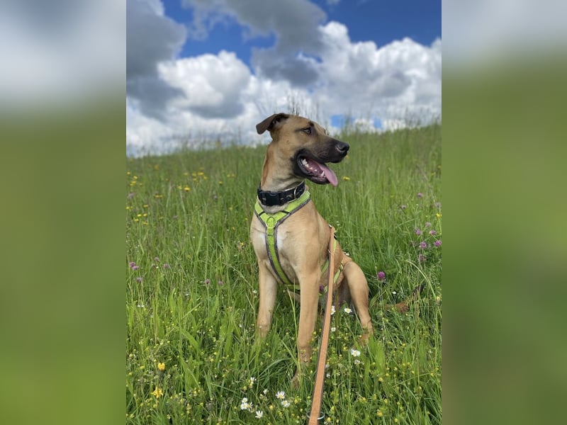Juni sucht ihren sicheren Hafen