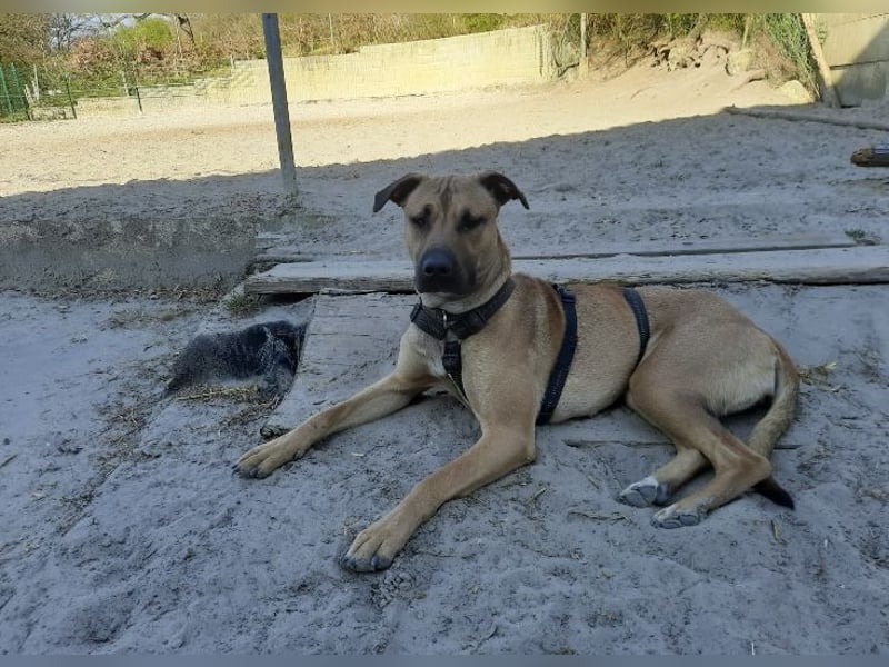 Juni sucht ihren sicheren Hafen