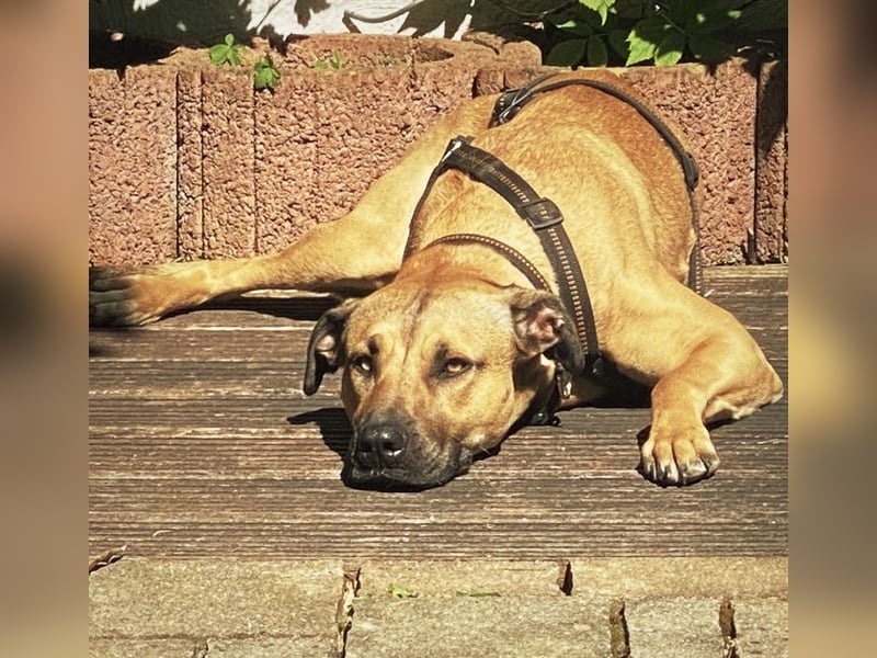 Juni sucht ihren sicheren Hafen