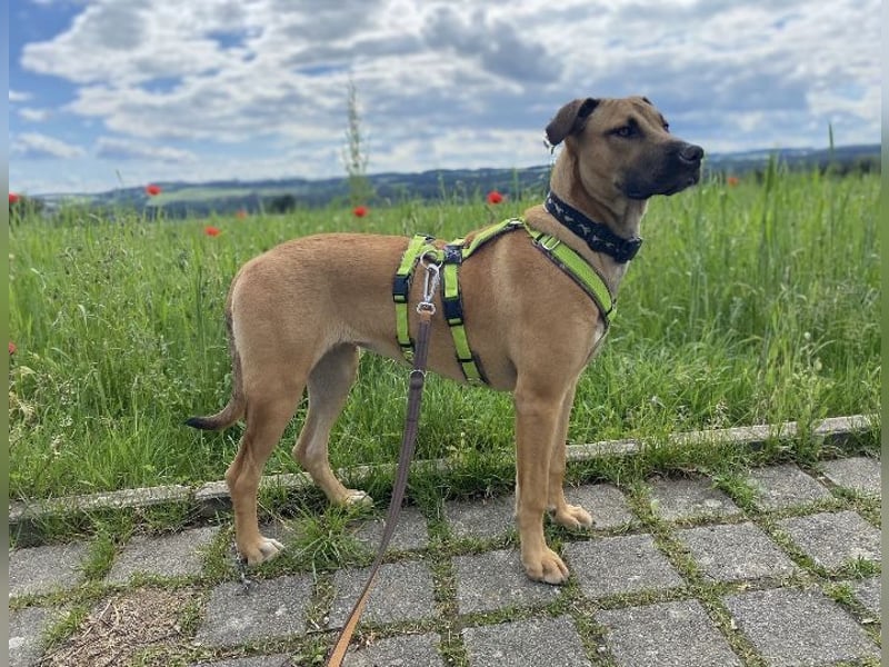Juni sucht ihren sicheren Hafen