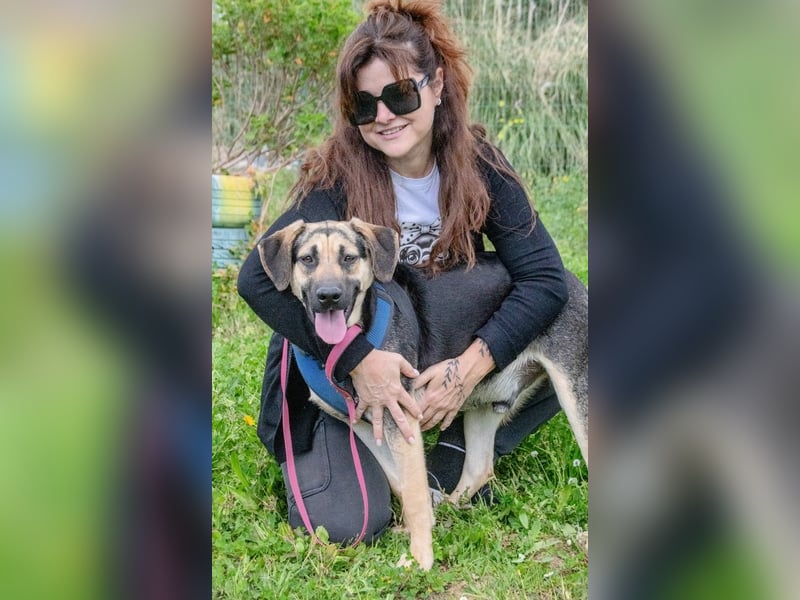 Pluto – ein aufgewecktes Kerlchen