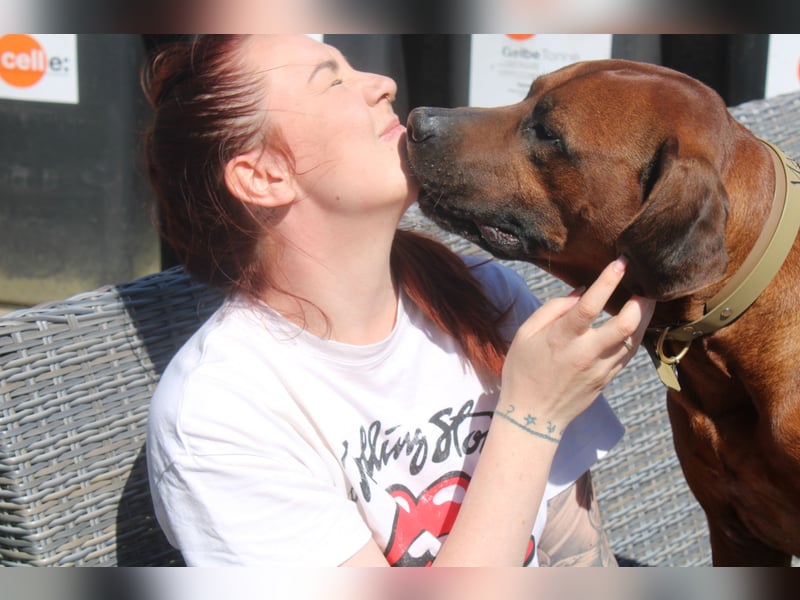 Rhodesian Ridgeback Welpen Mai 2025