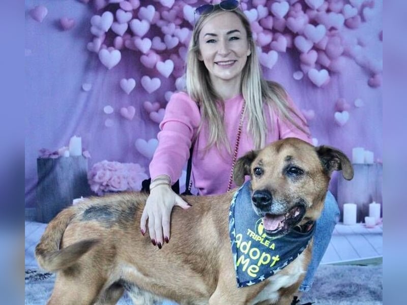 Markus (Spanien) - sucht dringend liebevolles Zuhause