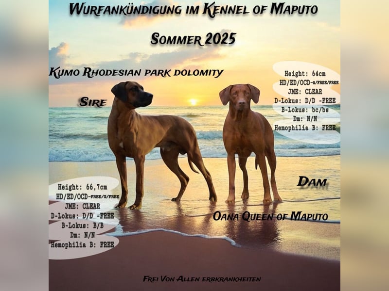 Traumverpaarung . . .Die kleinen sind im Anflug ; -)