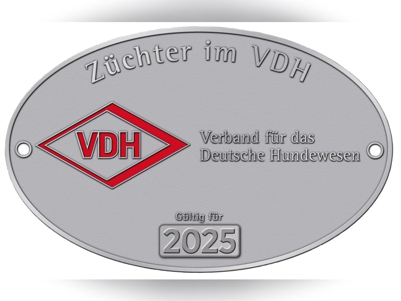 Riesenschnauzer schwarz Welpen des A-Wurf am 3.7.25 erwartete