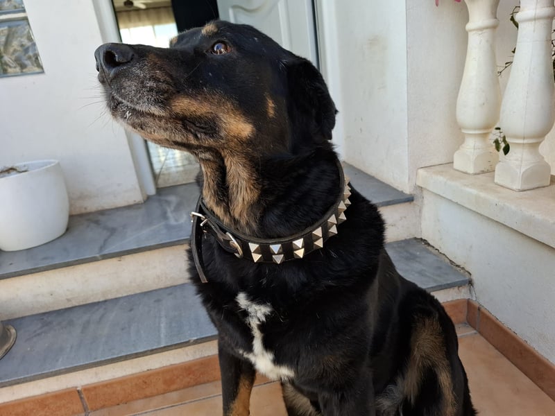 BODIN sucht Alterswohnsitz