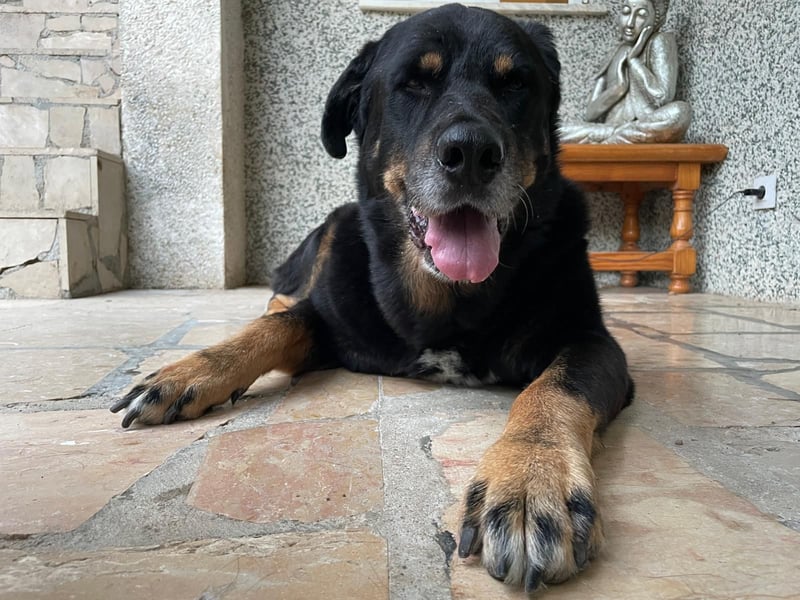 BODIN sucht Alterswohnsitz