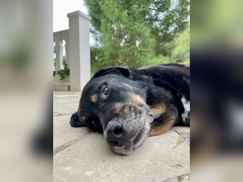 BODIN sucht Alterswohnsitz