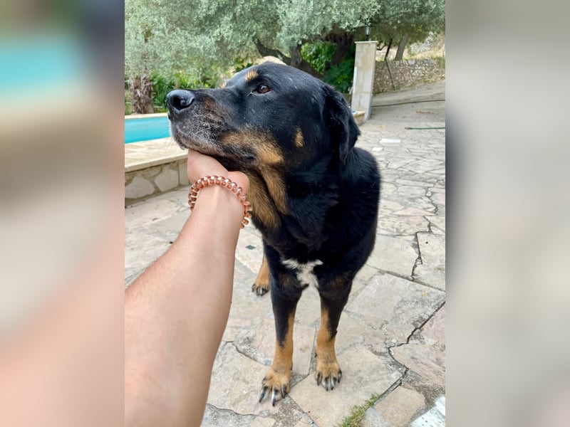 BODIN sucht Alterswohnsitz