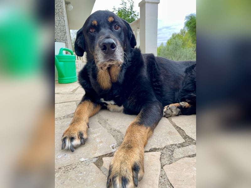 BODIN sucht Alterswohnsitz