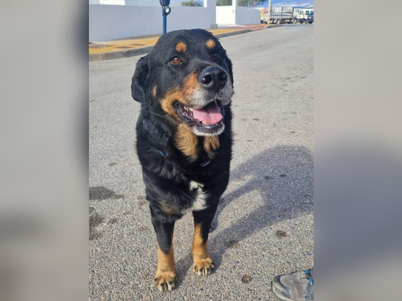 BODIN sucht Alterswohnsitz