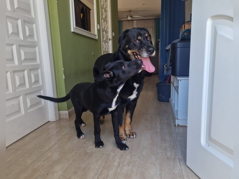 BODIN sucht Alterswohnsitz