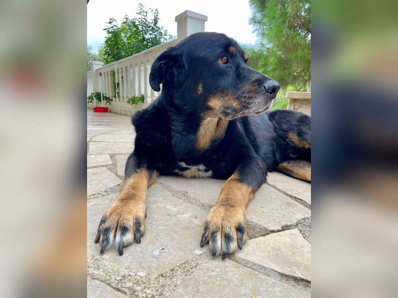 BODIN sucht Alterswohnsitz